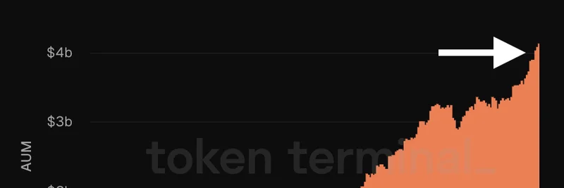Maple Finance 管理资产规模突破 40 亿美元：在 DeFi 热潮中超越 BlackRock 的 BUIDL