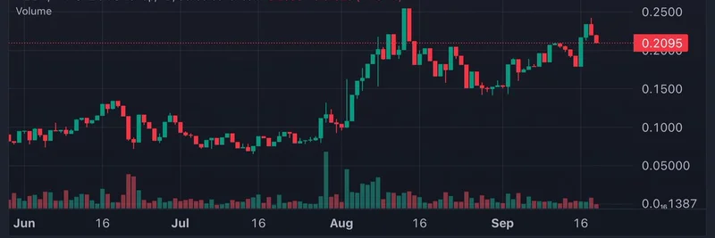 $TIBBIR이 밈 토큰 트렌드를 거스르는 이유: Nansen 데이터 인사이트