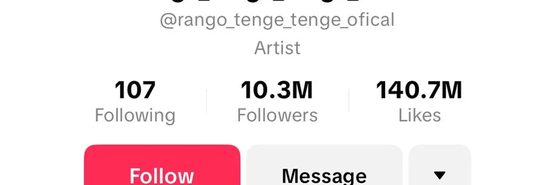 Tenge Tenge Meme Token Launch Sparks Controversy in Crypto Community