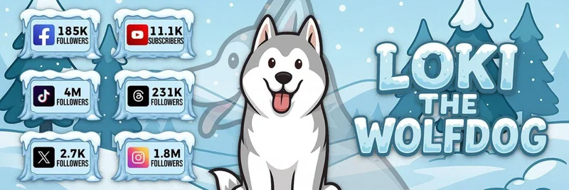 BNB 체인의 LOKI (0xaaece23b1e00ee43d49579df3c5ec49a73c880d7): 알려지지 않은 밈 토큰을 조사하고 리스크를 회피하는 방법