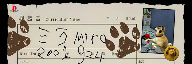 MIRA on BNB Chain: Verify 0x9d2b219e769435bd612e74596e5c84fda55ae501 and Avoid Token Symbol Confusion