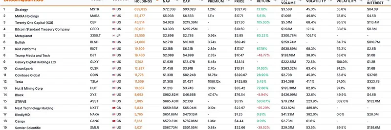 トップのビットコイン保有企業：2025年の主要指標と洞察