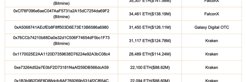 大户囤积 17.3 亿美元等值 ETH：对 Meme 代币的影响