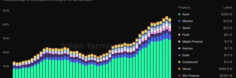 Aave 领跑 DeFi 借贷热潮：活跃贷款达 290 亿美元，USDC 借贷激增
