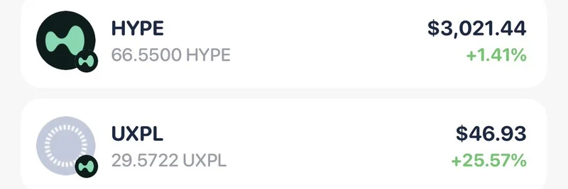 Trader Reveals Impressive Weekly Yields from Hyperliquid's prjx_hl Farming: Over $3K in HYPE and XPL