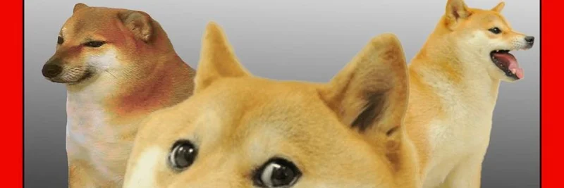 Vibe Tradingが$DOGを解き放つ：揺るがないProvenanceを持つ本物のDogeミームトークン