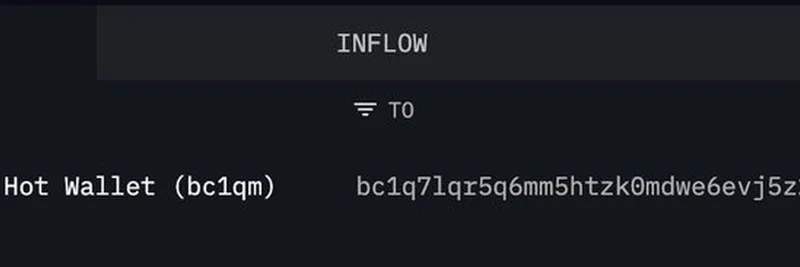 加密鲸鱼在市场下跌时买入价值6300万美元的BTC和1500万美元的ETH：这对 Meme 代币意味着什么