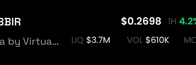 디코딩 $TIBBIR: 핀테크 VC가 뒷받침한 밈 토큰 열풍과 Crypto Twitter의 관심