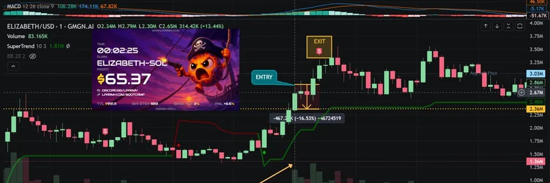 Mastering High-Volume Breakouts: Elizabeth Meme Token Trading Strategy on Solana