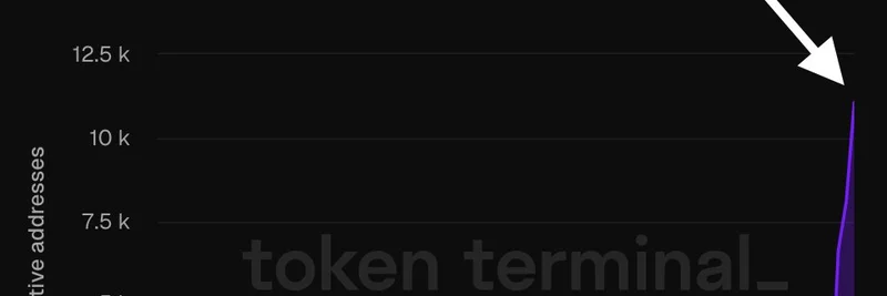 Avantis on Base, 일일 활성 주소 사상 최고치 기록 — 10배 성장