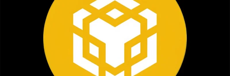 BNB Chainが純流入で圧倒：24時間でBaseとSuiを合わせた額を上回る