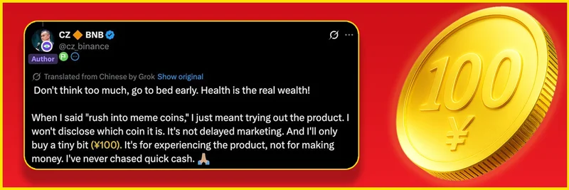 BNB Chain上の100¥:ミームトークン概要、コントラクトの洞察、取引方法