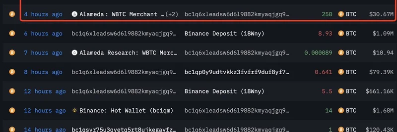 Alameda Research가 바이낸스에 250 BTC 예치: 최신 온체인 인사이트