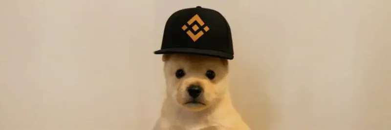 PUP Token on BNB Chain: Four.meme Launchpad, Bonding Curve Liquidity, and How to Trade