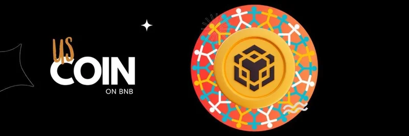 US Token on BNB Chain (0x100669fa854d7a1e57b0aba2ab89815a6b0b4444): Analysis, Verification Steps, and Risks