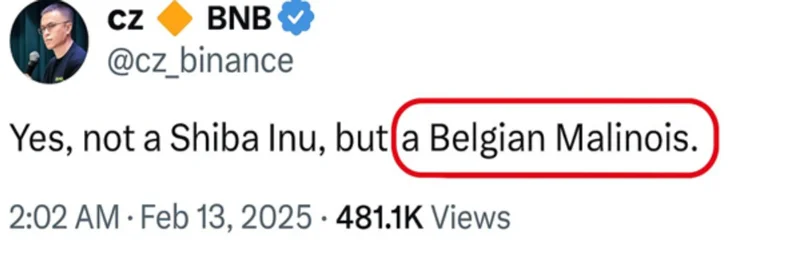 BELG on BNB Chain (BSC): Research, Verification Guide, and Tracking Tools