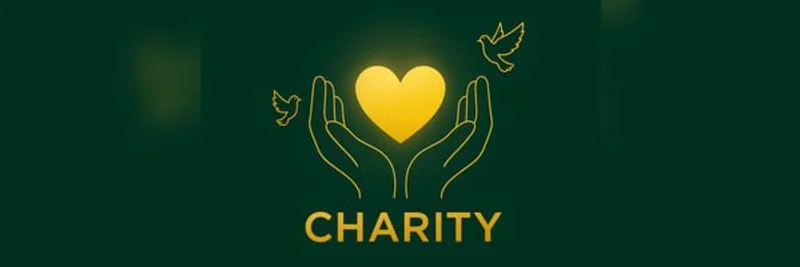 BNB Chain 上的 CHARITY 代币：它是什么、如何运作以及如何交易