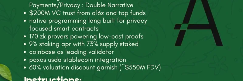 Aleo Story: What If Zcash and Ethereum Had a Baby? Exploring the Privacy-Focused Blockchain