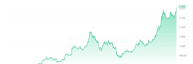 BNB突破历史新高，升至$1,200以上：对BNB Chain上meme代币的影响