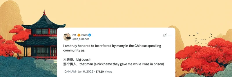 Da Biao Ge (大表哥) Meme Token on BNB Chain: Community, Risks, and How to Trade