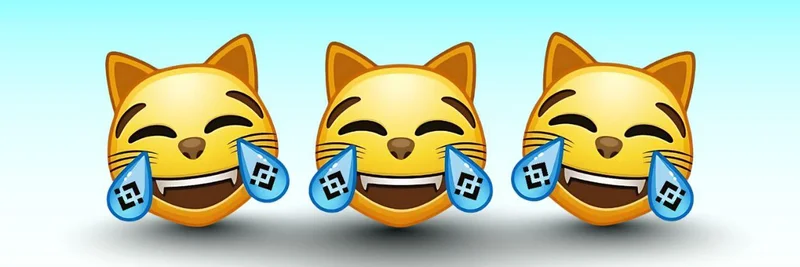 BNB Chain上のLMEOW：トークノミクス、98年間の流動性ロック、取引ガイド