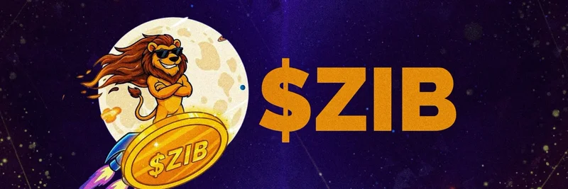 ZIBA (ZIB) 在 BNB Chain：如何购买、代币基础与安全提示