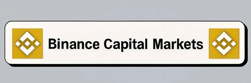 BNB Chain上のBCMトークン:0xe2c6afd36806ac04a88996fa8fa348fb41c44444について知っておくべきこと