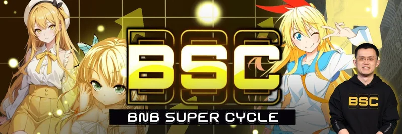 BNB Chain 上的 BSC 代币：针对地址 0xd6bc46b5c3627c4b450ab0c6ff11e65a48eee23d 的注意指南