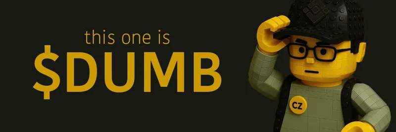 DUMB on BNB Chain: Meme Coin Guide to Price, Supply, Trading, and Risks