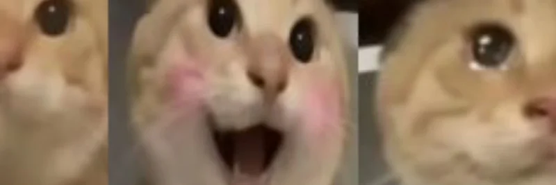 HAJIMI (哈基米) on BNB Chain: 새로운 밈 토큰 개요, 시장 스냅샷 및 위험 가이드