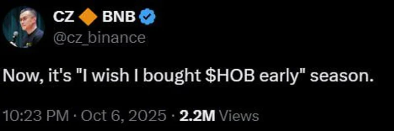 Humans of Binance (HOB) on BNB Chain: Utilities, Tokenomics, Roadmap, and Risks