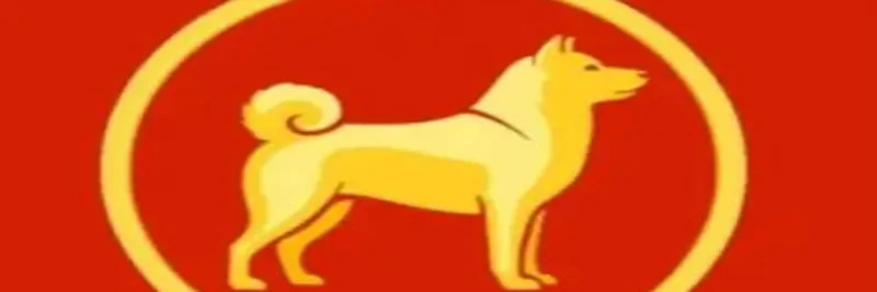 Jingou (金狗) on BNB Chain: Trading, On-Chain Checks, and Risk Guide