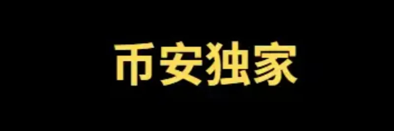 BNB Chain上的币安独家（Binance Exclusive）：流动性、安全检查与早期交易活动