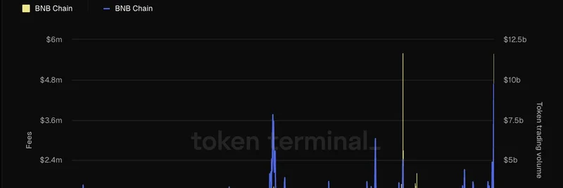 BNB 체인, 일일 수수료 558만 달러·거래량 97억 달러로 사상 근접