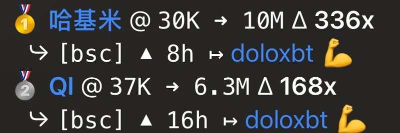 DoloXBT Breaks Records with 3336X Gains on BSC Meme Coins Harbin Rice and Qi