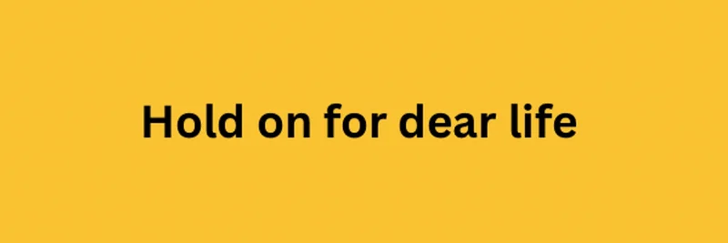 HODL Token on BNB Chain: Real BNB Rewards, NFTs, and Play-to-Earn Guide