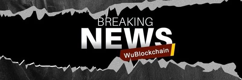 BNB Chain 上的 PayPay 代币：价格、流动性、交易指南与风险