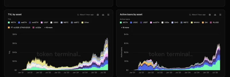 Token Terminal, 대규모 온체인 데이터 웨어하우스에 SQL 접근 제공: 밈 토큰 인사이트 강화