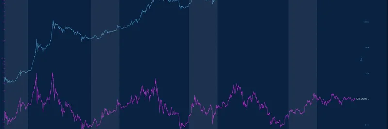 Bitcoin's MVRV Ratio and the Potential End of the Bull Run: Insights from Hitesh Malviya
