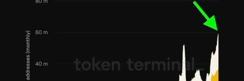 BNB Chain Hits Record 60 Million Monthly Active Addresses: Implications for Meme Tokens