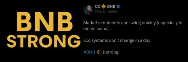 BNB Chain의 BNB STRONG: 계약 분석, 위험 신호, 구매 전 검증 방법