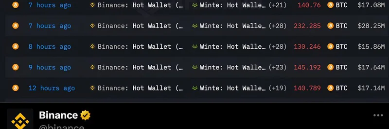 바이낸스 집중 포화: CEX가 사용자들을 속이고 있는가? 안전한 암호화폐 거래를 위한 7가지 DeFi 대안