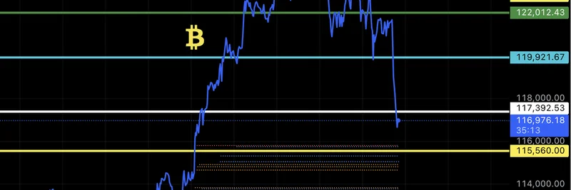 Bitcoinの1時間での50%フラッシュ：MartyPartyが示すliquidation levelsと市場プルバックの重要ポイント