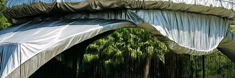 Celestia Unveils Mysterious Dome in Argentina: Implications for Meme Tokens and Blockchain