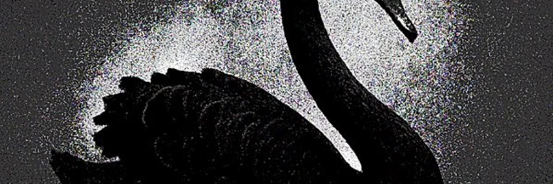Crypto's Black Swan: Trader Predicts Bottom After $19B Liquidation Wipeout – Time to Load Meme Coin Bags?