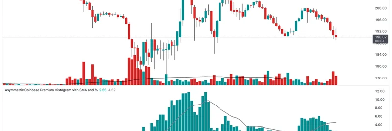 Solana 价格暴跌：Coinbase 溢价飙升至 11% —— 对 Meme 代币的影响