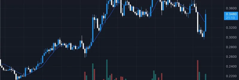 $USELESS Memecoin 在市场动荡中逆势而上：揭秘其在贸易战期间实现的 100x 拉升