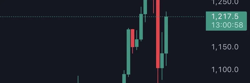BNB's Remarkable Resilience Amid Crypto Crash: Boost for BSC Meme Tokens