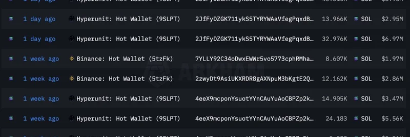 Whale Accumulates $75M SOL Despite $15.5M Loss: On-Chain Insights