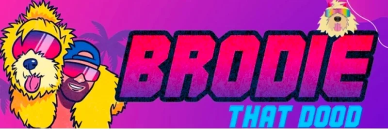 BNB Chain의 BRODIE: 계약 0x05f6b74c1c3d9fc787b4df91d6cf46ff6270f312 사실 확인, 위험 및 검증 절차